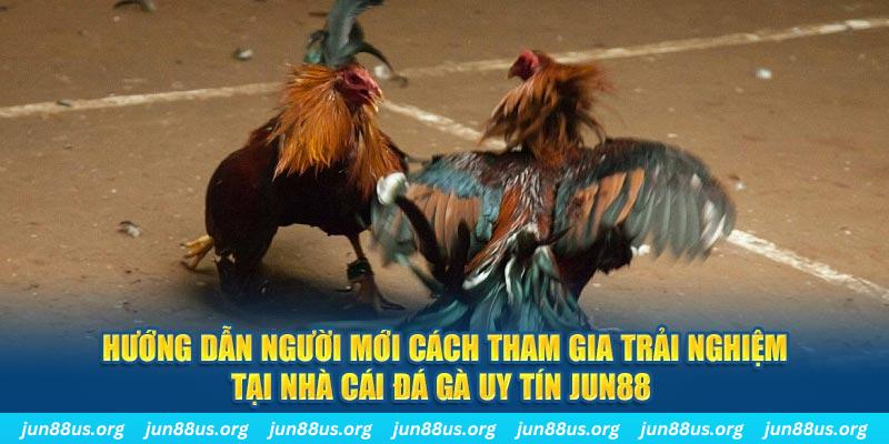 shbet800 CQ9 Điện Tử