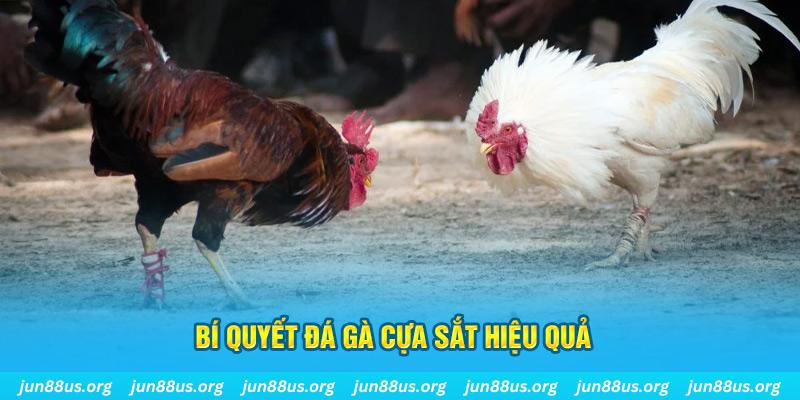 shbet800 xin 1 slot là gì