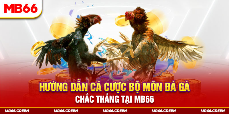 shbet800 game nổ hũ là game gì