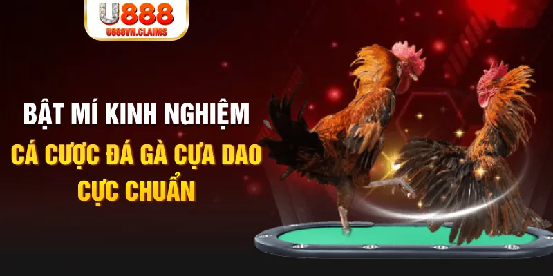 shbet800 tỷ lệ cá cược châu á là gì