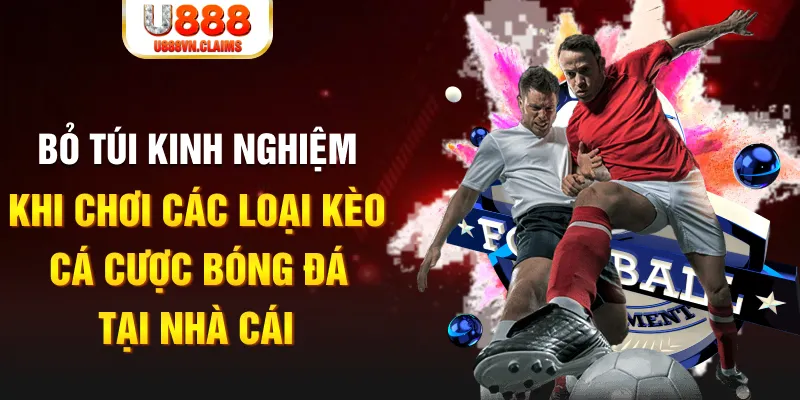 shbet800 Tài Xỉu
