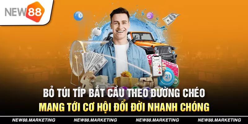 shbet800 789bet có bao nhiêu sảnh game bài 3d ？