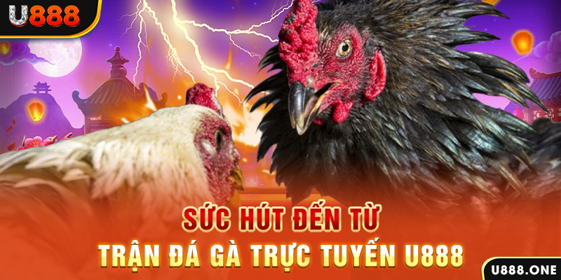 shbet800 nổ hũ b29 là gì