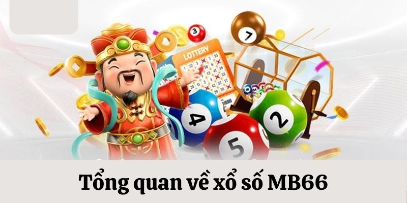 shbet800 da ga