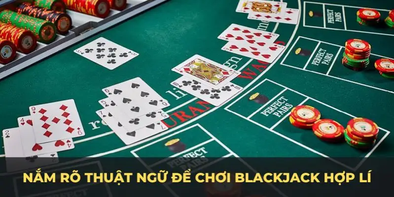 shbet800 SABA Thể Thao