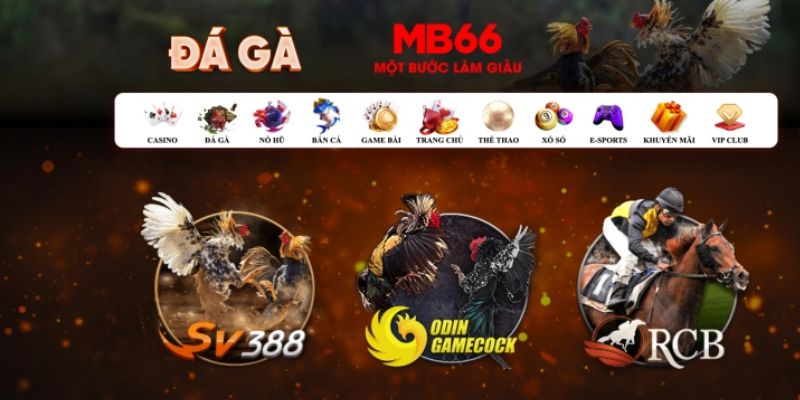 shbet800 đăng nhập poker số 1