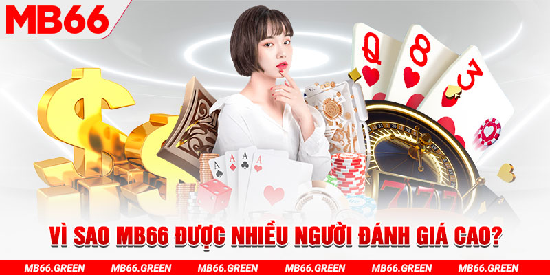 shbet800 đá gà