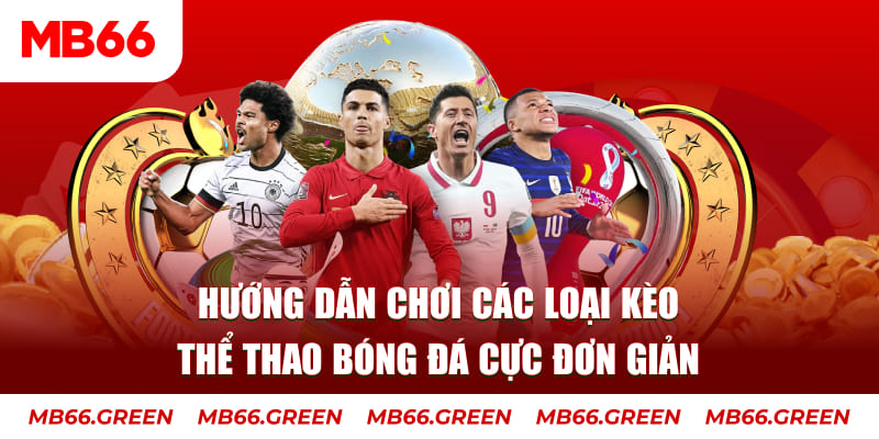shbet800 đăng nhập phỏm rút tiền nhanh