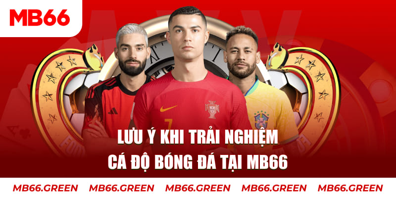 shbet800 cá cược là gì
