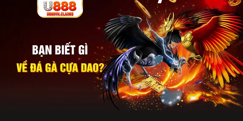 shbet800 nổ hủ là gì