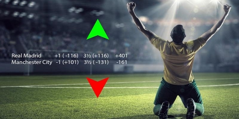 shbet800 slot tiếng việt là gì