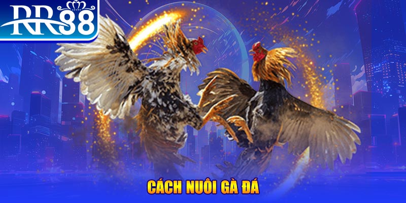 shbet800 xổ số an giang