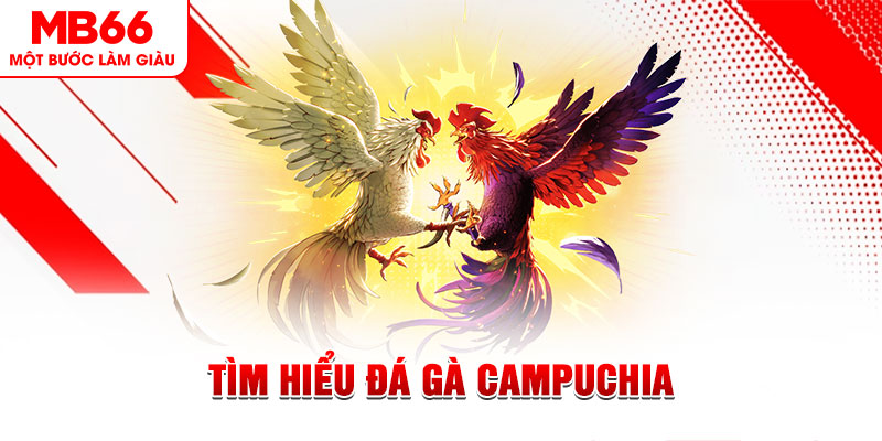 shbet800 game đánh bài trên máy tính