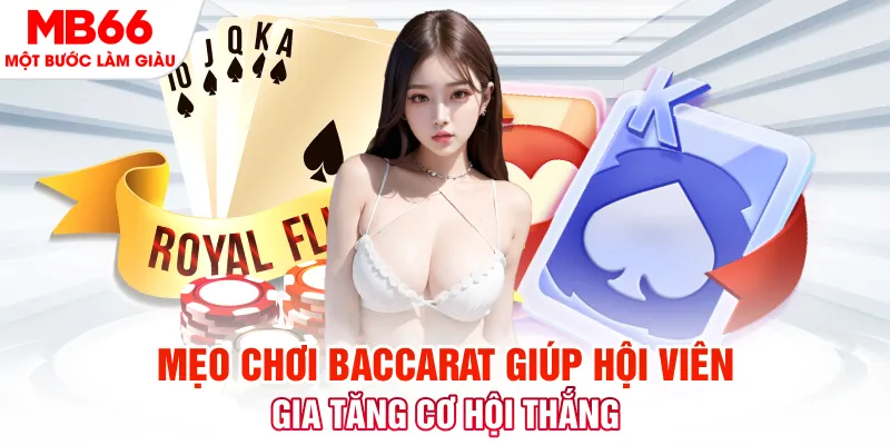 shbet800 Phi Đội Ưu Tú
