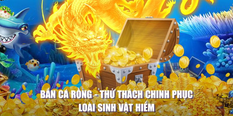 shbet800 máy slot game là loại trò chơi gì？