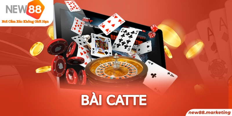 shbet800 gà chọi