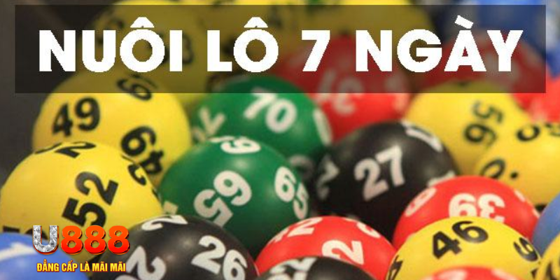 shbet800 slot là j
