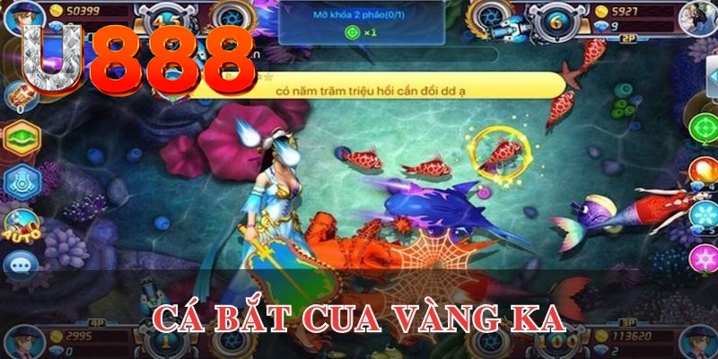 shbet800 kết quả xổ số hôm nay