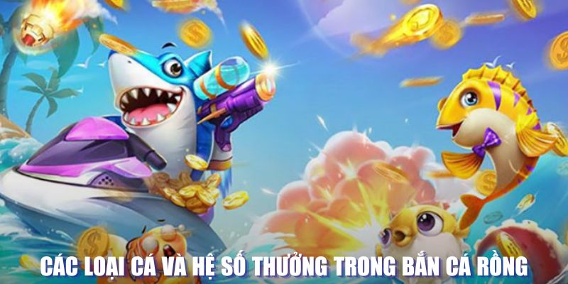 shbet800 đăng nhập sòng bạc mới nhất
