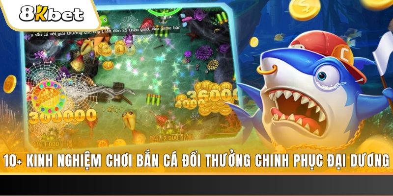shbet800 gà chọi cậu thanh