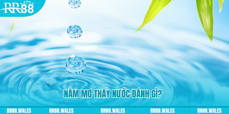 shbet800 TP Bắn cá