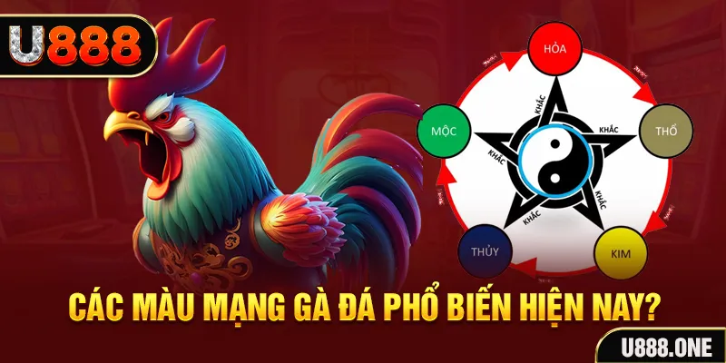 shbet800 trực tiếp đá gà 88