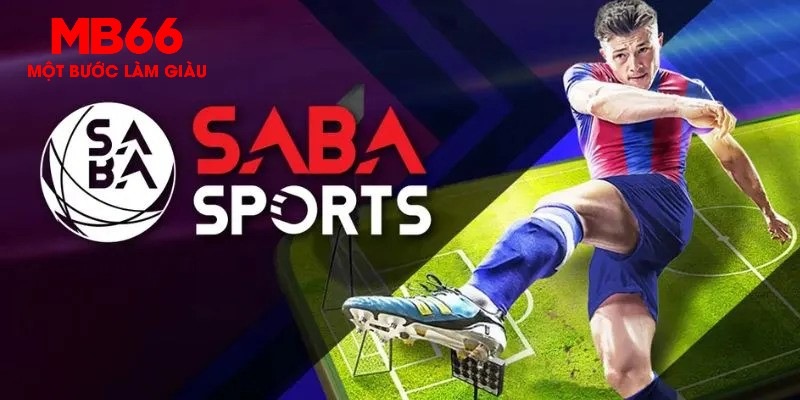 shbet800 gà chọi c1 thomo