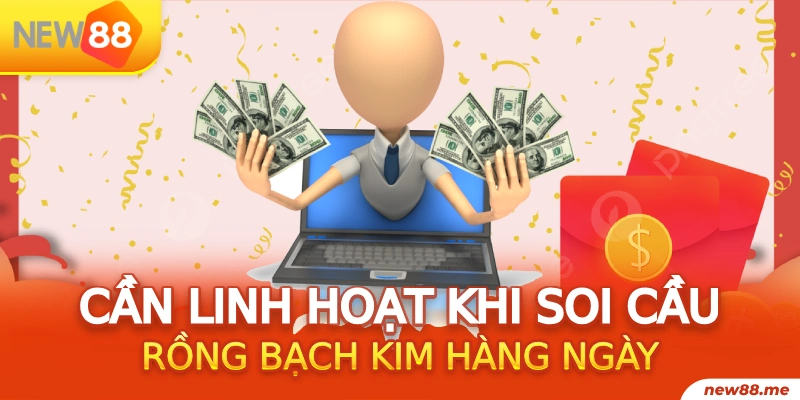shbet800 gà chọi c1.tv