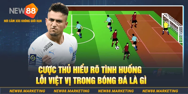 shbet800 long bảo baccarat la gì