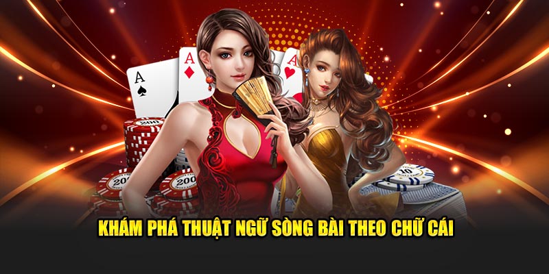 shbet800 máy tính casino