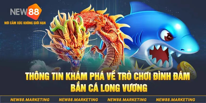 shbet800 baccarat lừa đảo như thế nào