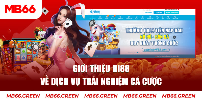 shbet800 ga choi hoa phong