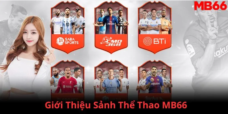 shbet800 đăng nhập phỏm 2024