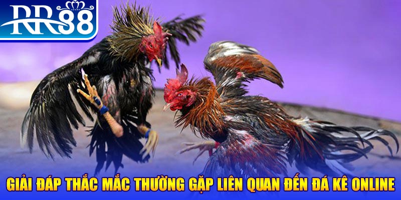 shbet800 xổ số đà lạt