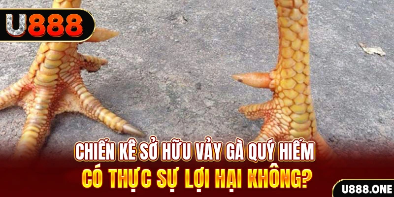 shbet800 nohu .mx nổ hủ là gì
