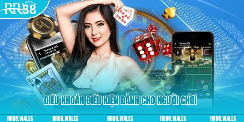 shbet800 casino gồm những gì