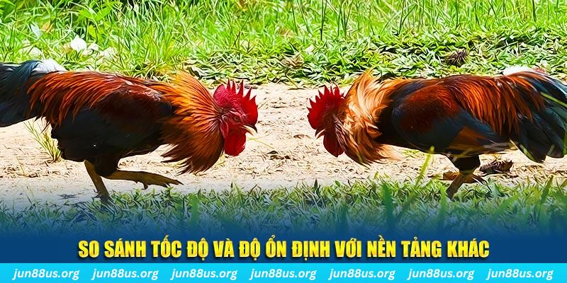 shbet800 đá gà hôm nay