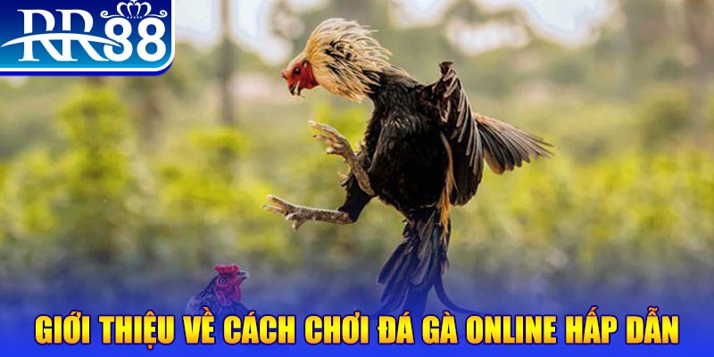 shbet800 game nổ hũ rút tiền mặt là gì