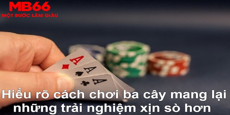 shbet800 xổ số đài bắc