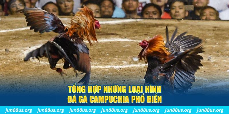 shbet800 đăng nhập nổ hũ 2024