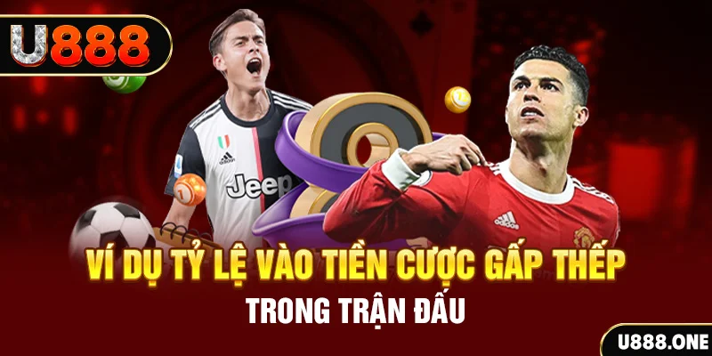 shbet800 kết quả xổ số 30 ngày