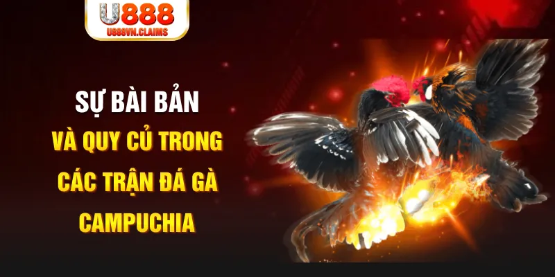 shbet800 YGR Điện Tử