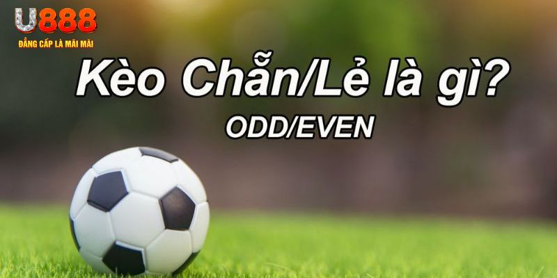 shbet800 đăng nhập poker hôm nay