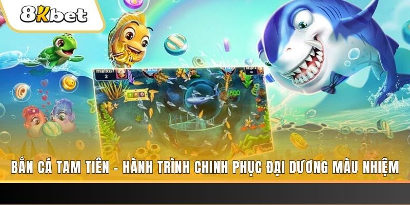shbet800 xổ số bình định