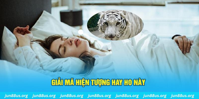 shbet800 đăng nhập nổ hũ uy tín