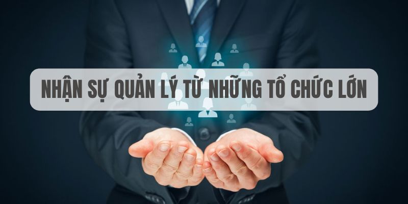shbet800 đăng nhập sòng bạc uy tín