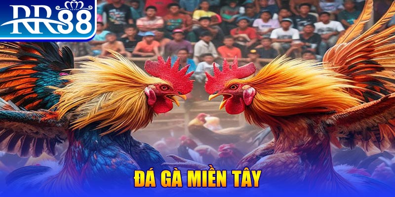 shbet800 chơi slot là gì