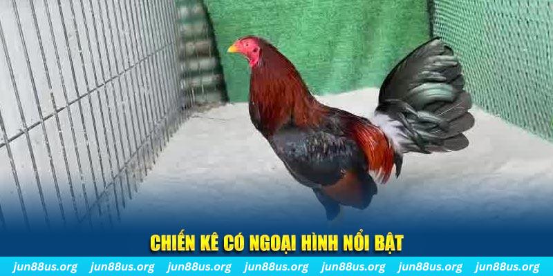 shbet800 chạy quảng cáo cho game bài bị phạt như thế nào