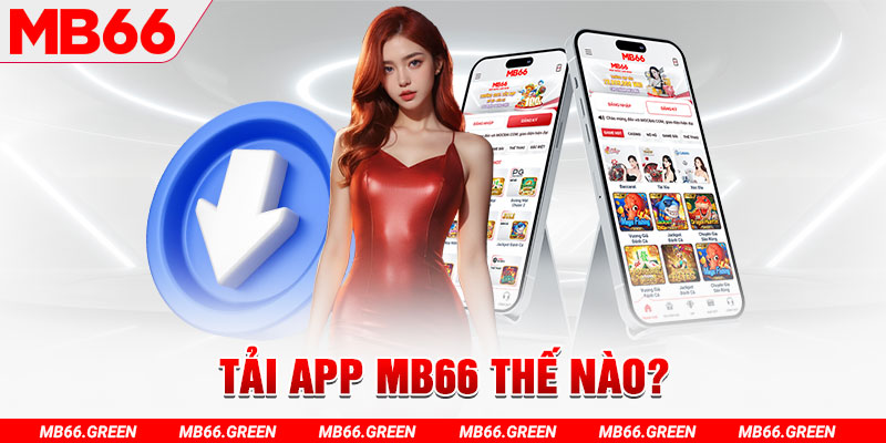 shbet800 đá gà 88