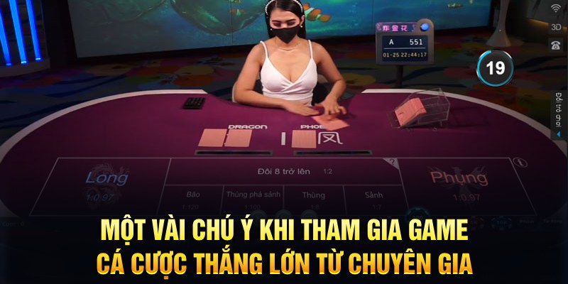 shbet800 đăng nhập roulette hôm nay